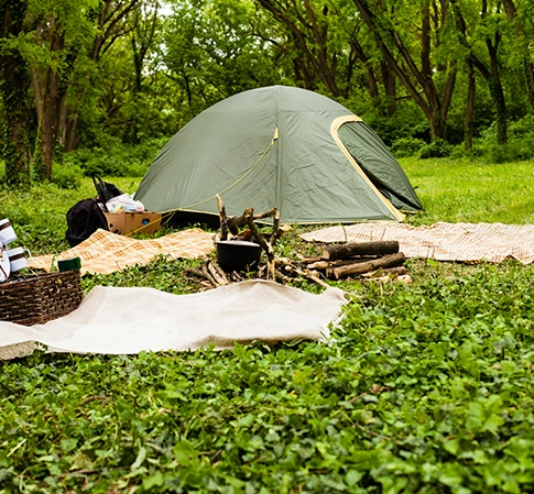 Utensílios de mesa compostáveis em Camping