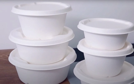 Bacia biodegradável descartável de bagaço de cana-de-açúcar