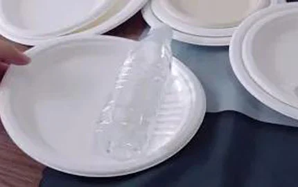 Placa redonda descartável à base de plantas de bagaço biodegradável sustentável