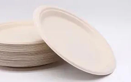 Placa oval de fibra de bagaço descartável compostável