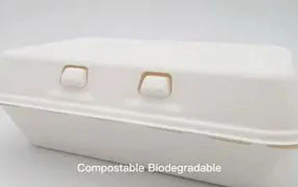 Caixa de garra descartável biodegradável 900ml LZ-0188