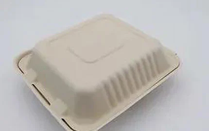 Biodegradável sustentável à base de plantas descartável 8 polegadas 3 Comp Clamshell Box
