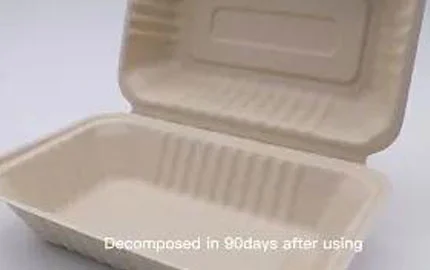 Caixa de concha descartável de 900ml com fibra de bagaço biodegradável sustentável à base de plantas