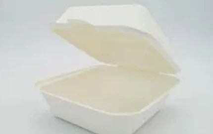 Bagaço descartável biodegradável 6 polegadas Hamburger Clamshell Box