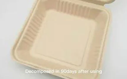 Caixa de garra de 9 polegadas à base de planta de bagaço de cana-de-açúcar biodegradável sustentável