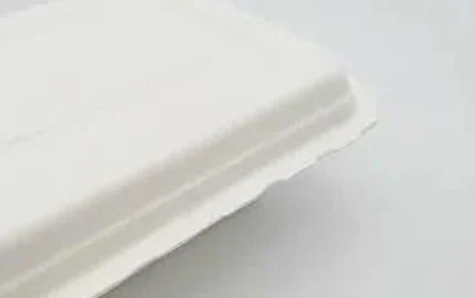 Caixa de Clamshell descartável à base de plantas biodegradável sustentável 450ml