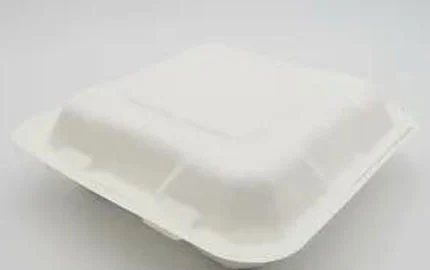 Caixa de concha de 8 polegadas para viagem de polpa de fibra ecológica
