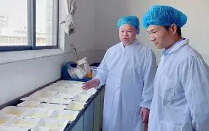 Vídeo ao vivo da base de produção 3-1