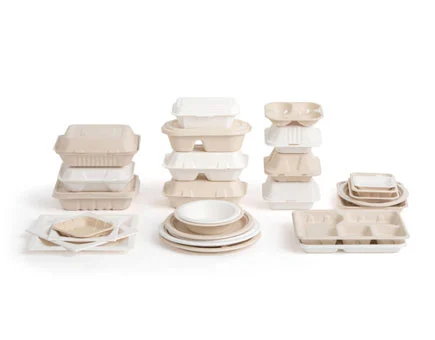 Placas Compostáveis: Microwavability, conteúdo de flúor e implicações para a saúde Placas Compostáveis: Microwavability, conteúdo de flúor e implicações para a saúde