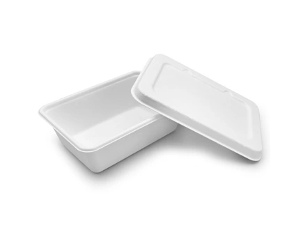 Abrace a sustentabilidade com talheres de bagaço no atacado: uma vitória para os negócios e o planeta Abrace a sustentabilidade com talheres de bagaço no atacado: uma vitória para os negócios e o planeta