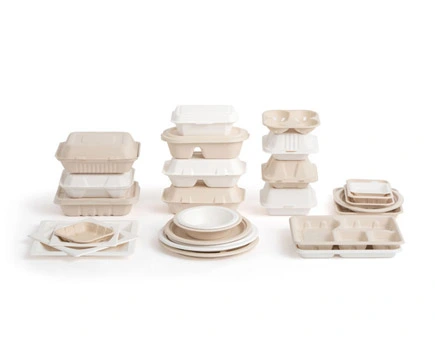Futuro verde: a importância dos contêineres de viagem biodegradáveis no atacado Futuro verde: a importância dos contêineres de viagem biodegradáveis no atacado
