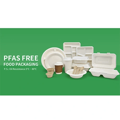 Enviro-Packs: Revelando o reino Verdant de contêineres biodegradáveis de atacado para viagem Enviro-Packs: Revelando o reino Verdant de contêineres biodegradáveis de atacado para viagem