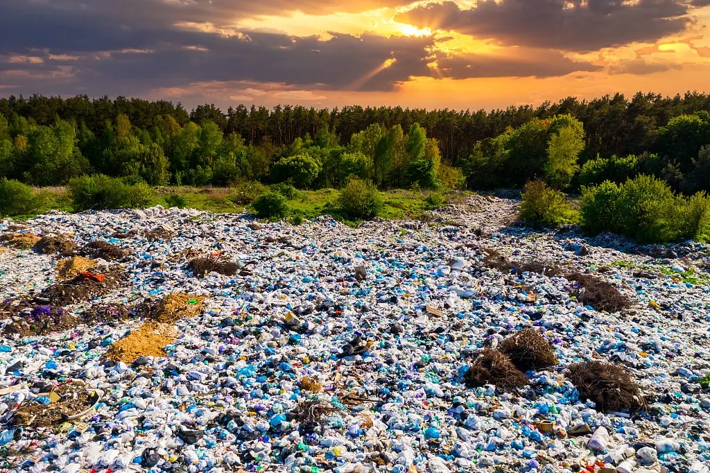 Defendendo o meio ambiente: diga não ao plástico e abrace a sustentabilidade Defendendo o meio ambiente: diga não ao plástico e abrace a sustentabilidade