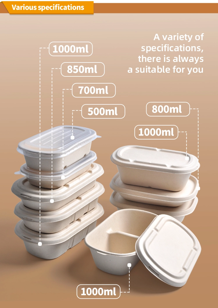 Ecologicamente iluminado: revelando o mundo atacadista de recipientes de alimentos biodegradáveis Ecologicamente iluminado: revelando o mundo atacadista de recipientes de alimentos biodegradáveis